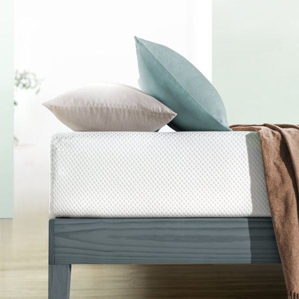 The Twillery Co.® Meacham 10'' Medium Mattress & Reviews Wayfair